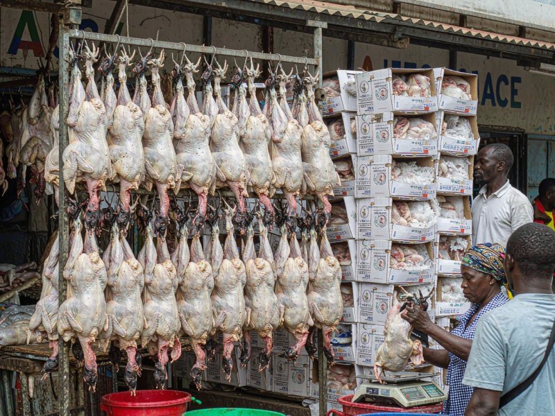 Why Local Chicken Costs More Than Imported Chicken in Ghana, and What Is Being Done