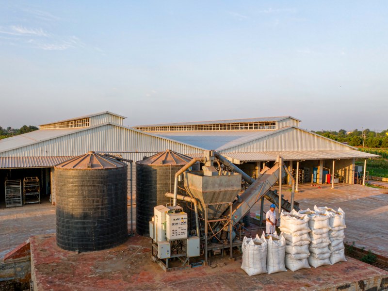 Le premier projet avicole intégré de Guinée : 20 millions de dollars pour réduire les importations de poulet