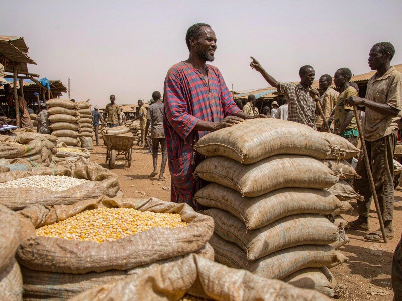 Nigeria Food Prices Eased in September, but Feed Costs Lag Behind