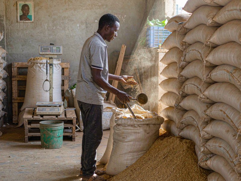 Soybean Meal at 447 Dollars a Tonne: When Should West African Feed Makers Buy?