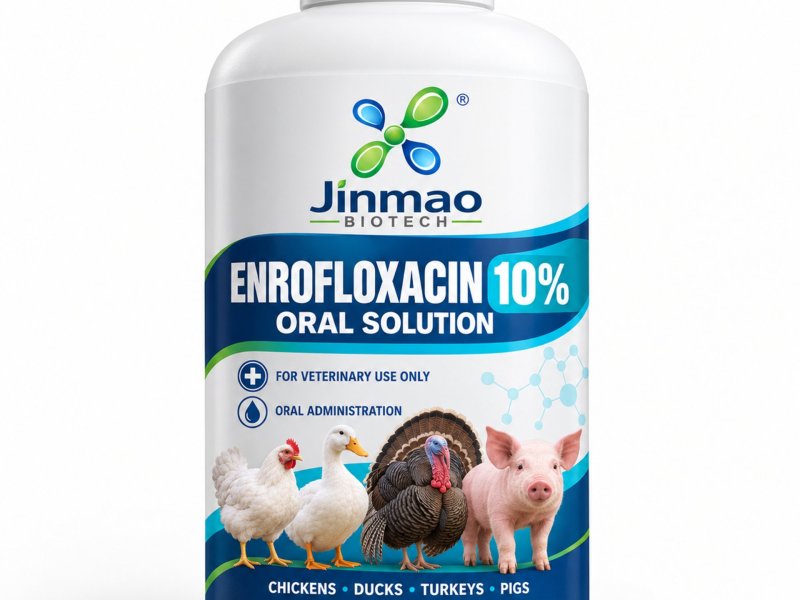 Enrofloxacin 10% oral solution for chickens, ducks, turkeys and pigs, 1 L bottle